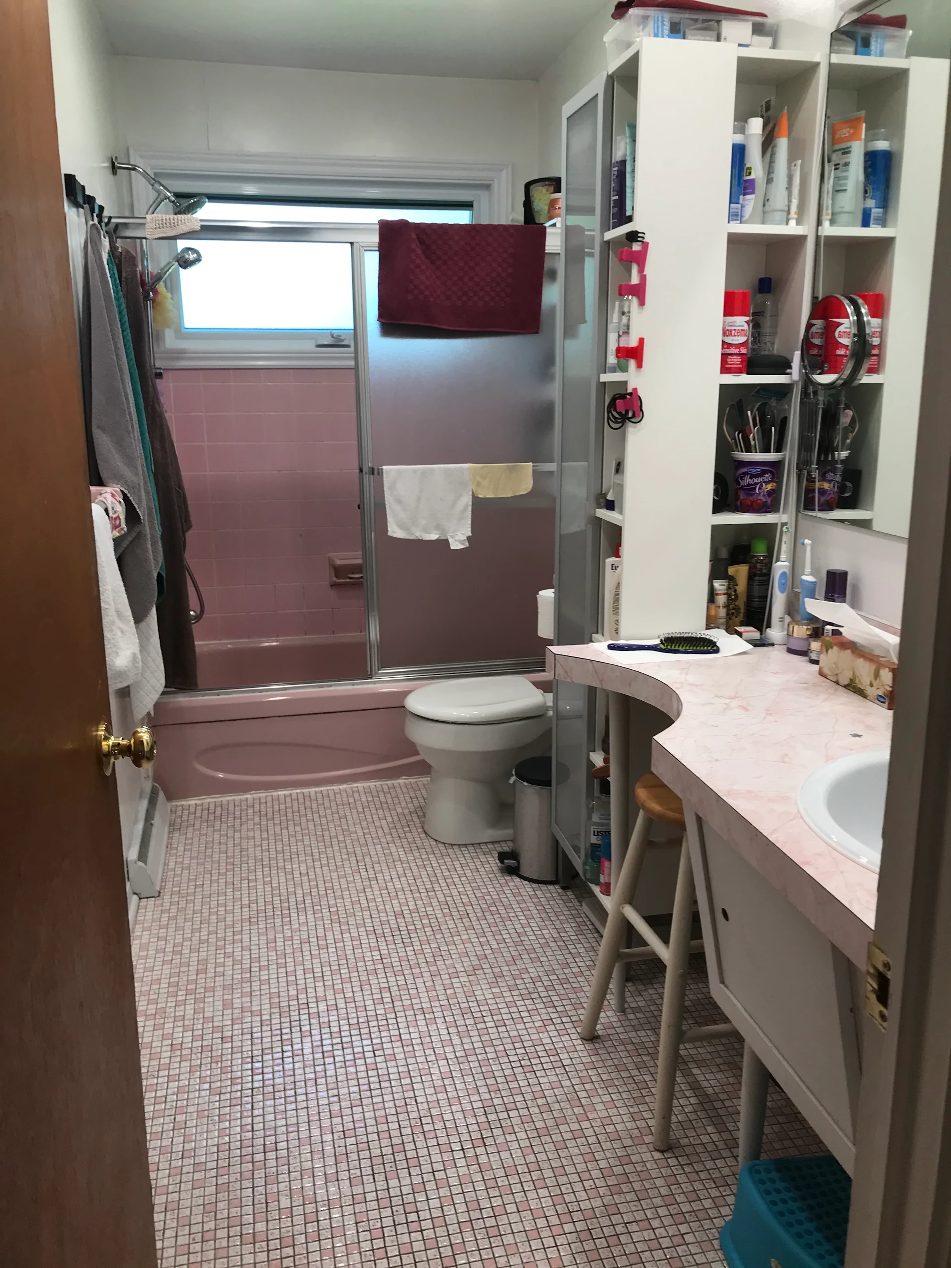 Salle de bain avant travaux, projet de Hannoi Lee